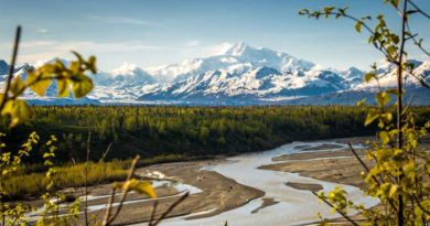 Scaling the Roof of Alaska: Climbing Mount Denali