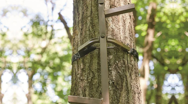 How to Choose Tree Climbing Sticks?