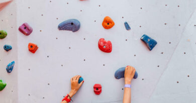 Best Climbing Holds for Home Wall