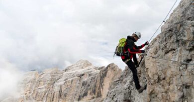 Best Alpine Climbing Harnesses