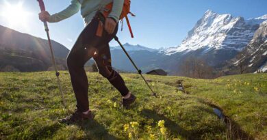 Best Alpine Climbing Pants