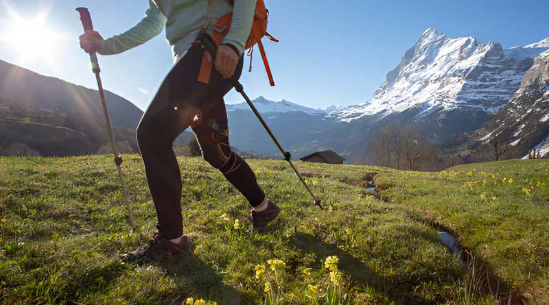 Best Alpine Climbing Pants