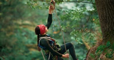 Best Ascenders For Tree Climbing