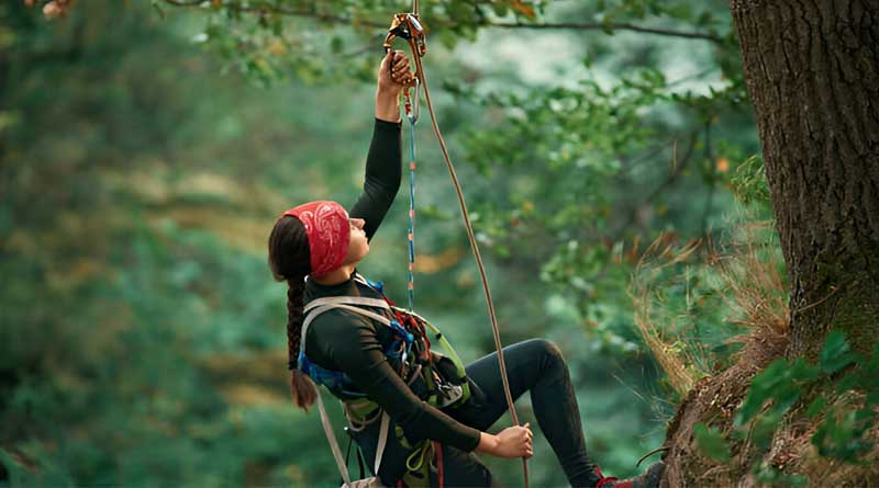 Best Ascenders For Tree Climbing