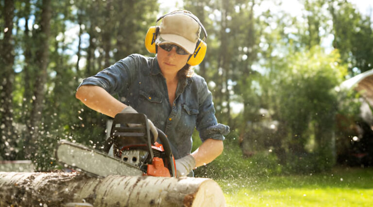 Best Budget Chainsaws of 2025 - Climb Daily