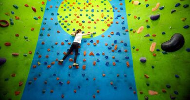 Best Climbing Holds