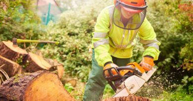 Best Helmets For Arborists