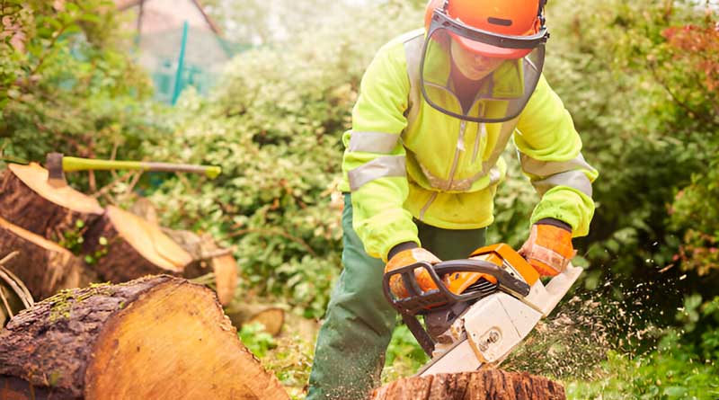 Best Helmets For Arborists