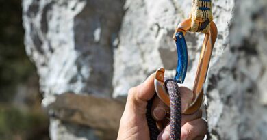 Best Rock Climbing Carabiners