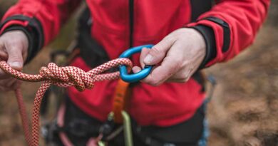 Best Tree Climbing Ropes