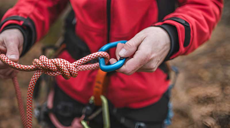 Best Tree Climbing Ropes