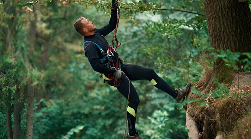 Best Tree Climbing Saddles