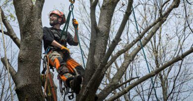 Best Tree Climbing Harnesses