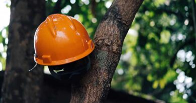 Best Tree Climbing Helmets For Arborists