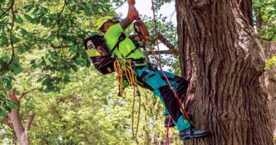 Best Tree Climbing Pants